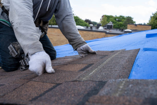 Best Metal Roofing Contractor  in Han, GA