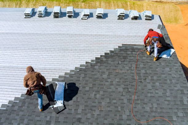 Best Local Roofing Companies  in Han, GA