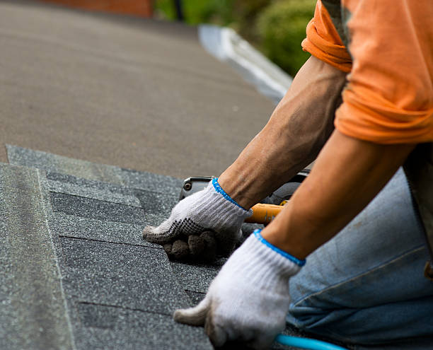 Best Roof Inspection Near Me  in Han, GA