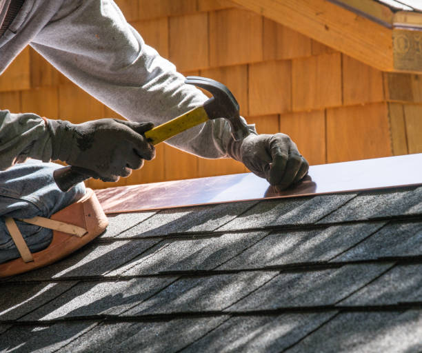 Best Roof Repair Specialists  in Han, GA
